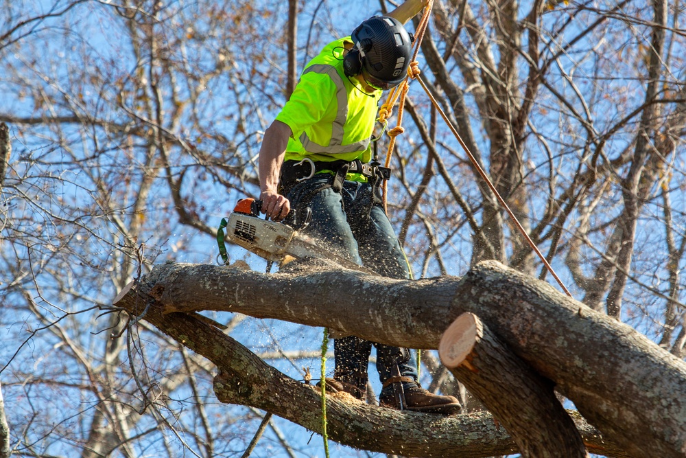 Hurricane Helene Recovery: Tree Cutting and Removal in Laurens County, Georgia.