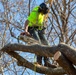 Hurricane Helene Recovery: Tree Cutting and Removal in Laurens County, Georgia.