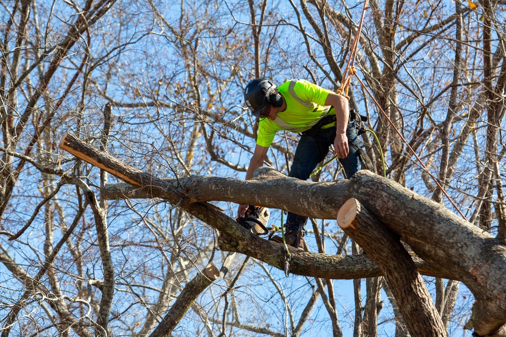 Hurricane Helene Recovery: Tree Cutting and Removal in Laurens County, Georgia.