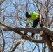 Hurricane Helene Recovery: Tree Cutting and Removal in Laurens County, Georgia.