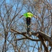 Hurricane Helene Recovery: Tree Cutting and Removal in Laurens County, Georgia.