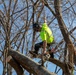 Hurricane Helene Recovery: Tree Cutting and Removal in Laurens County, Georgia.