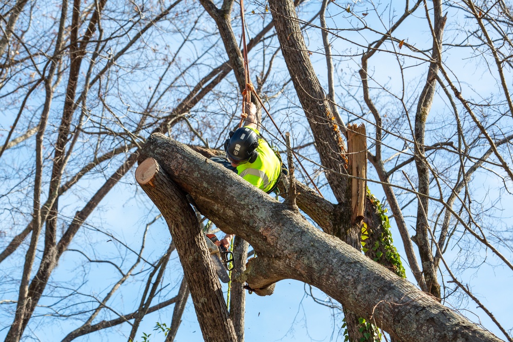 Hurricane Helene Recovery: Tree Cutting and Removal in Laurens County, Georgia.