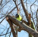 Hurricane Helene Recovery: Tree Cutting and Removal in Laurens County, Georgia.