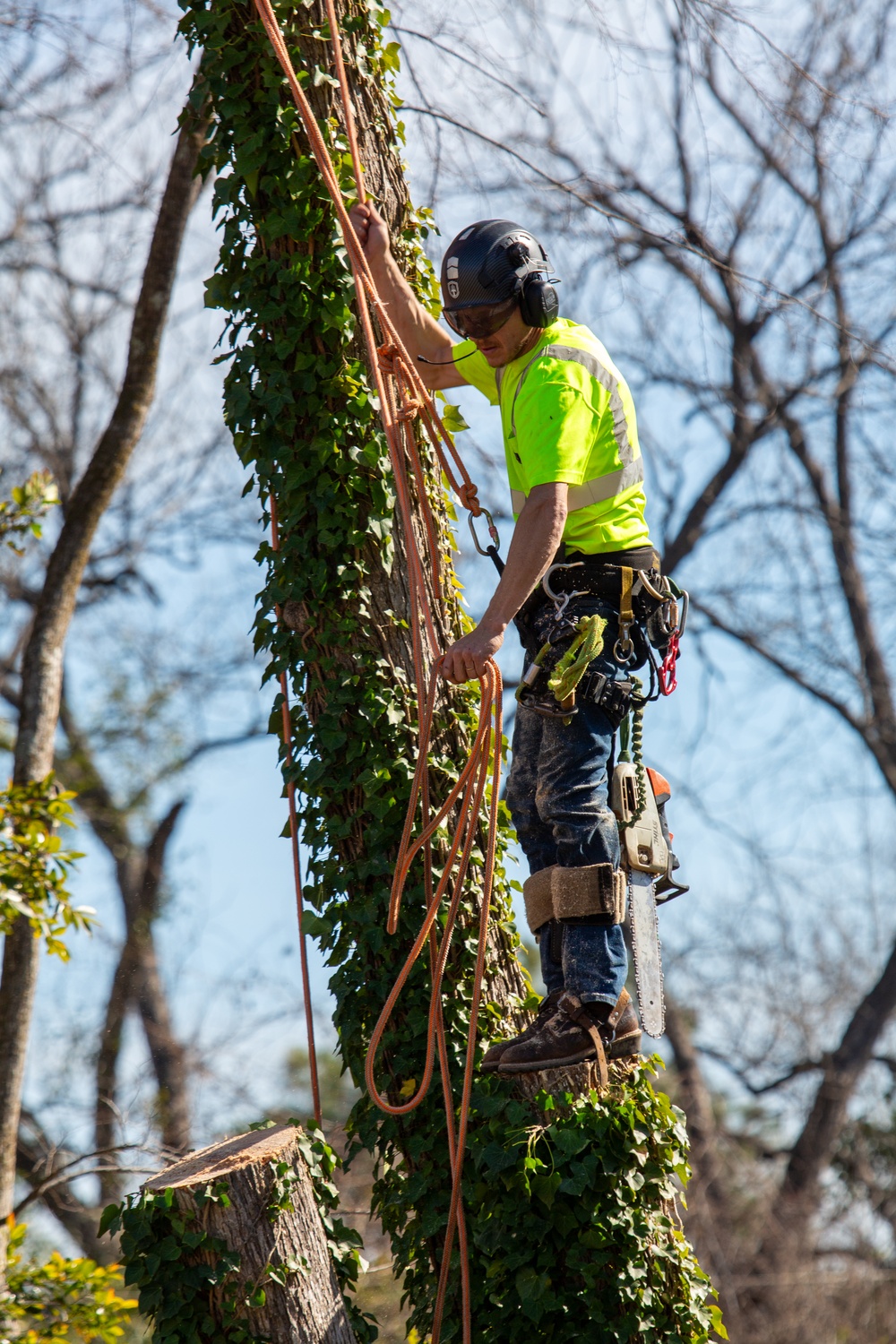 Hurricane Helene Recovery: Tree Cutting and Removal in Laurens County, Georgia.