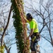 Hurricane Helene Recovery: Tree Cutting and Removal in Laurens County, Georgia.