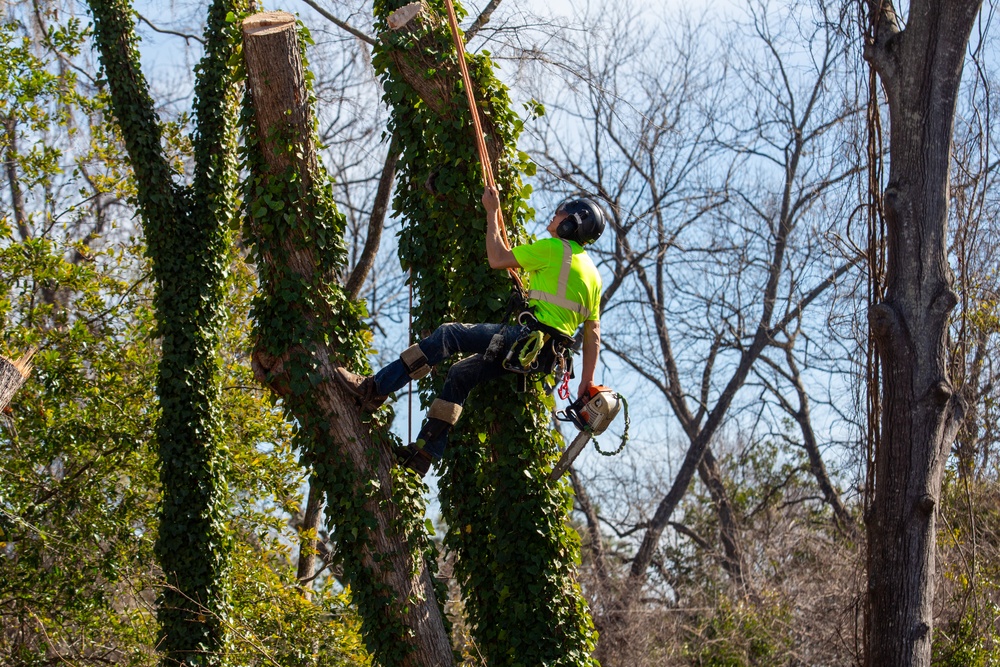 Hurricane Helene Recovery: Tree Cutting and Removal in Laurens County, Georgia.