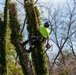 Hurricane Helene Recovery: Tree Cutting and Removal in Laurens County, Georgia.