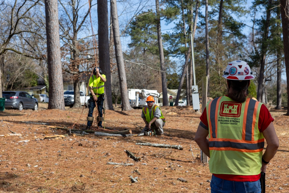 Hurricane Helene Recovery: Leaners and Hangers Removal Laurens County, Georgia.