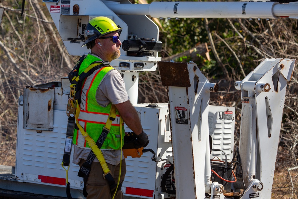 Hurricane Helene Recovery: Tree Cutting and Removal in Laurens County, Georgia.