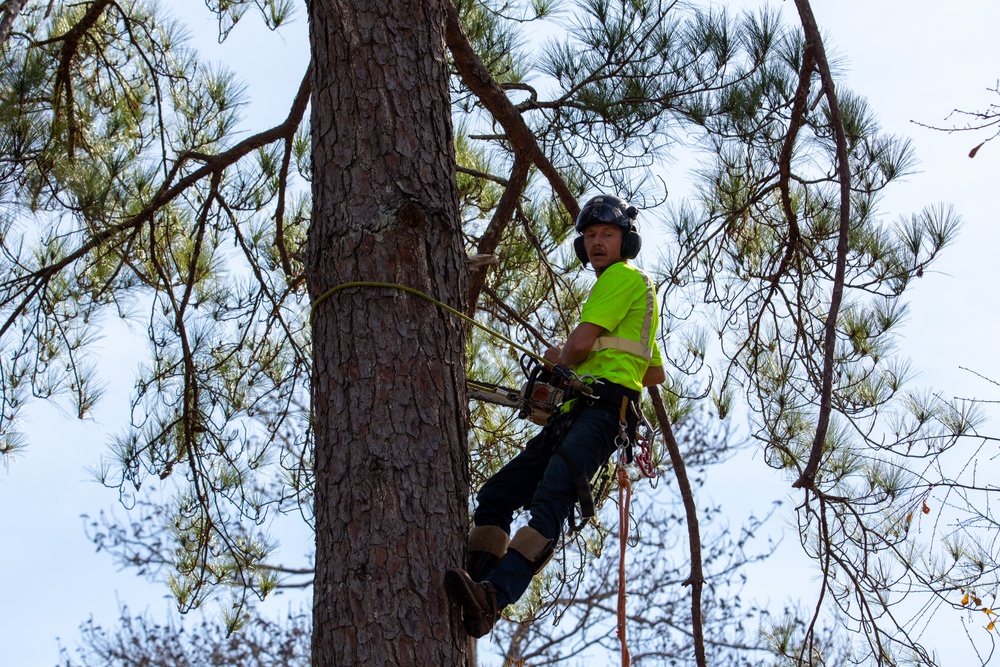 Hurricane Helene Recovery: Leaners and Hangers Removal Laurens County, Georgia.