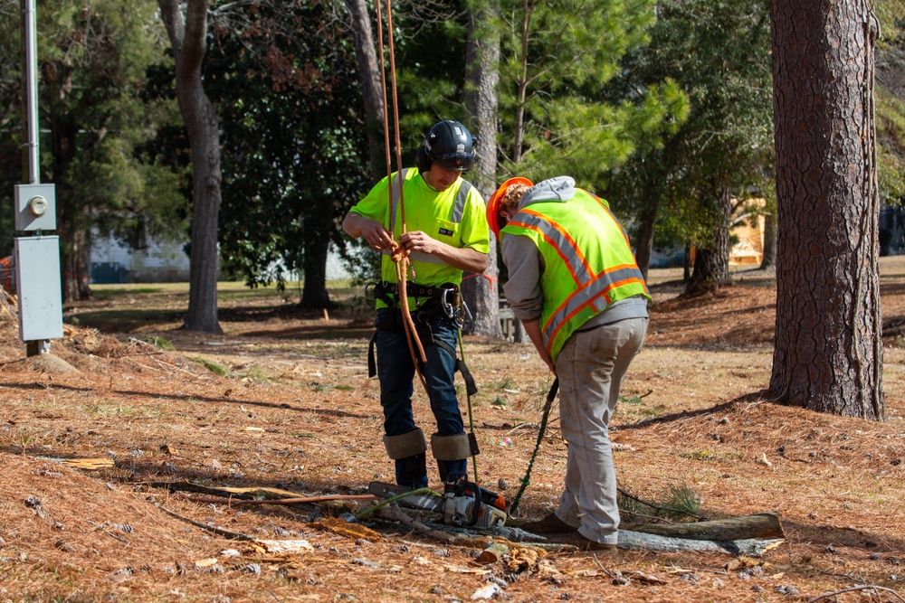 Hurricane Helene Recovery: Leaners and Hangers Removal Laurens County, Georgia.