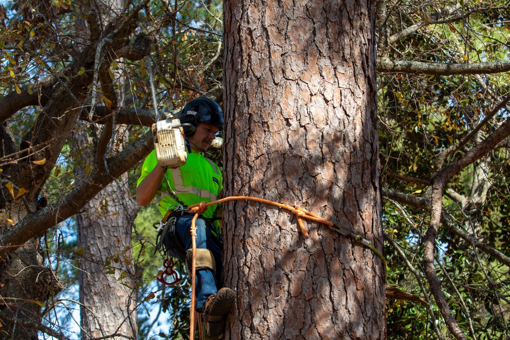 Hurricane Helene Recovery: Leaners and Hangers Removal Laurens County, Georgia.