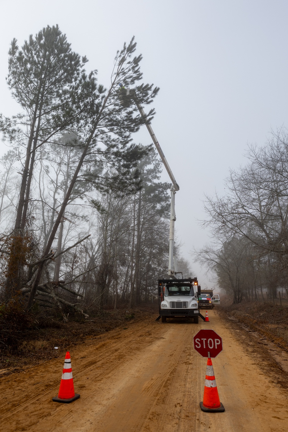 Hurricane Helene Recovery: Leaners and Hangers Removal in Laurens County, Georgia.