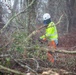 Hurricane Helene Recovery: Leaners and Hangers Removal in Laurens County, Georgia.