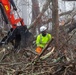 Hurricane Helene Recovery: Leaners and Hangers Removal in Laurens County, Georgia.