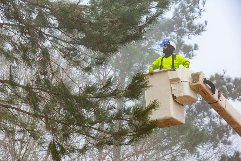 Hurricane Helene Recovery: Leaners and Hangers Removal in Laurens County, Georgia.