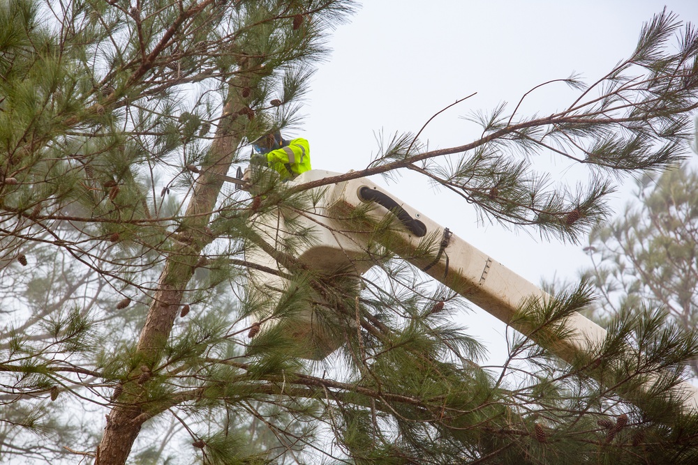 Hurricane Helene Recovery: Leaners and Hangers Removal in Laurens County, Georgia.