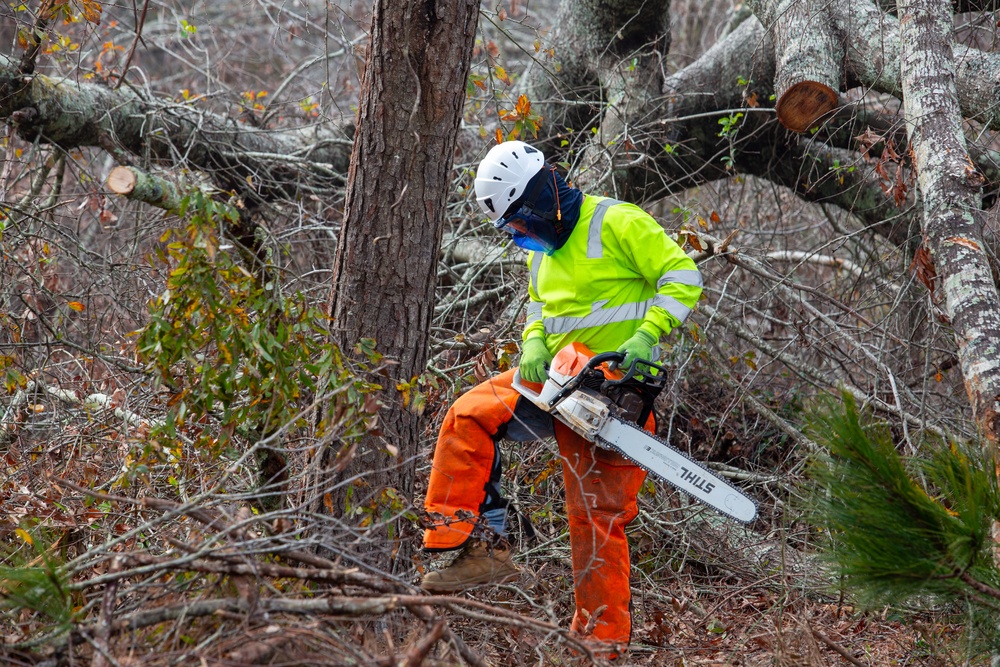 Hurricane Helene Recovery: Leaners and Hangers Removal in Laurens County, Georgia.