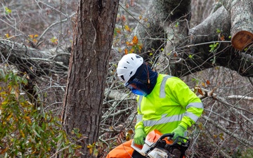 Hurricane Helene Recovery: Leaners and Hangers Removal in Laurens County, Georgia.