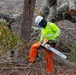 Hurricane Helene Recovery: Leaners and Hangers Removal in Laurens County, Georgia.