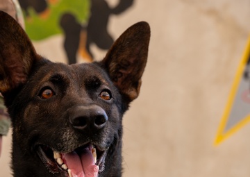 Beyond the Spaceport: SLD 45’s Commitment to Excellence Across Missions