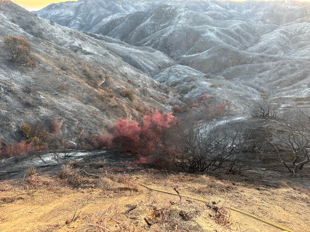 Ash Like Snow: ORANG Airman Aids in Aftermath of Palisade Fire