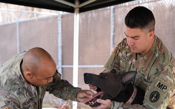 Department of Defense Staff visit 2d MWD Detachment