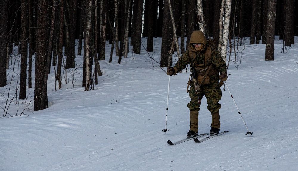 Joint Viking 25: Cold Weather Training Week 1