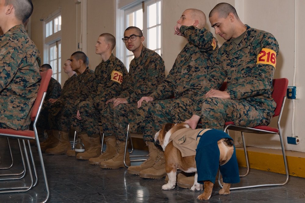 Hotel Company Recruits meet LCpl Bruno