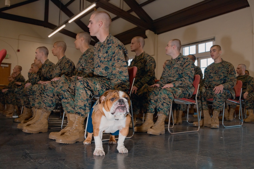 Hotel Company Recruits meet LCpl Bruno