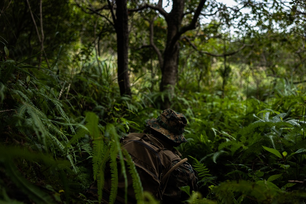 12th MLR Marines Execute Patrolling Operations