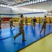 Incirlik performs combative training