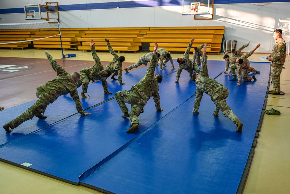 Incirlik performs combative training