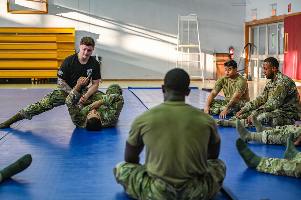 Incirlik performs combative training