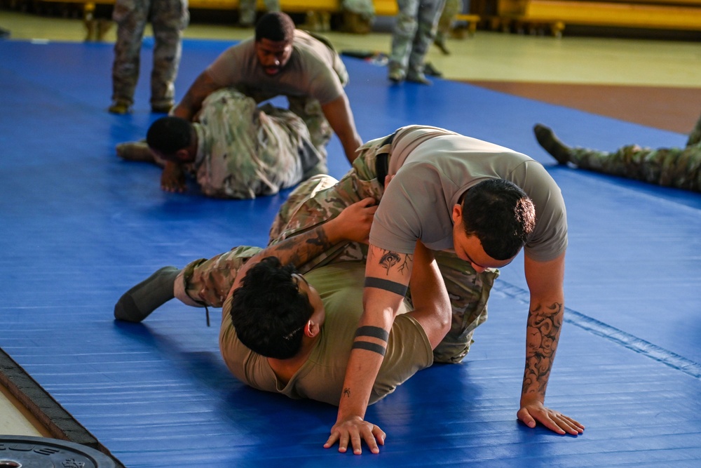 Incirlik performs combative training