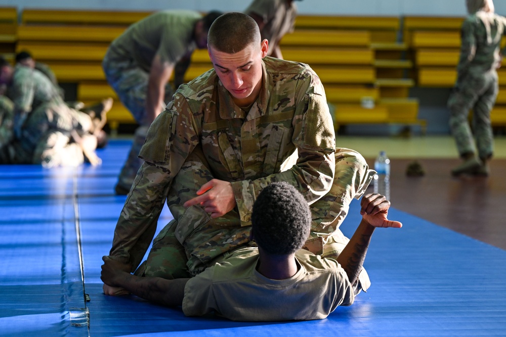 Incirlik performs combative training