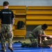 Incirlik performs combative training