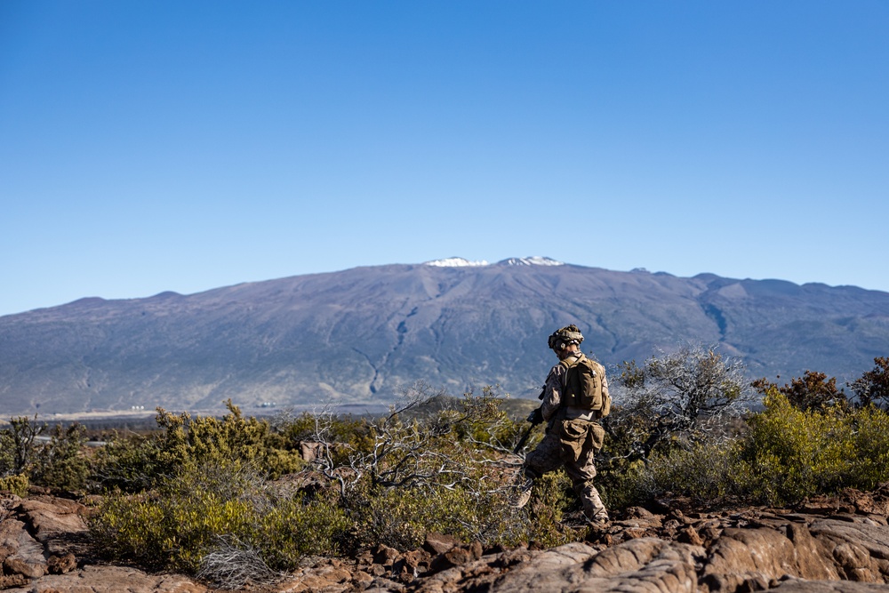 3d LCT Conducts Squad Attacks at Pohakuloa