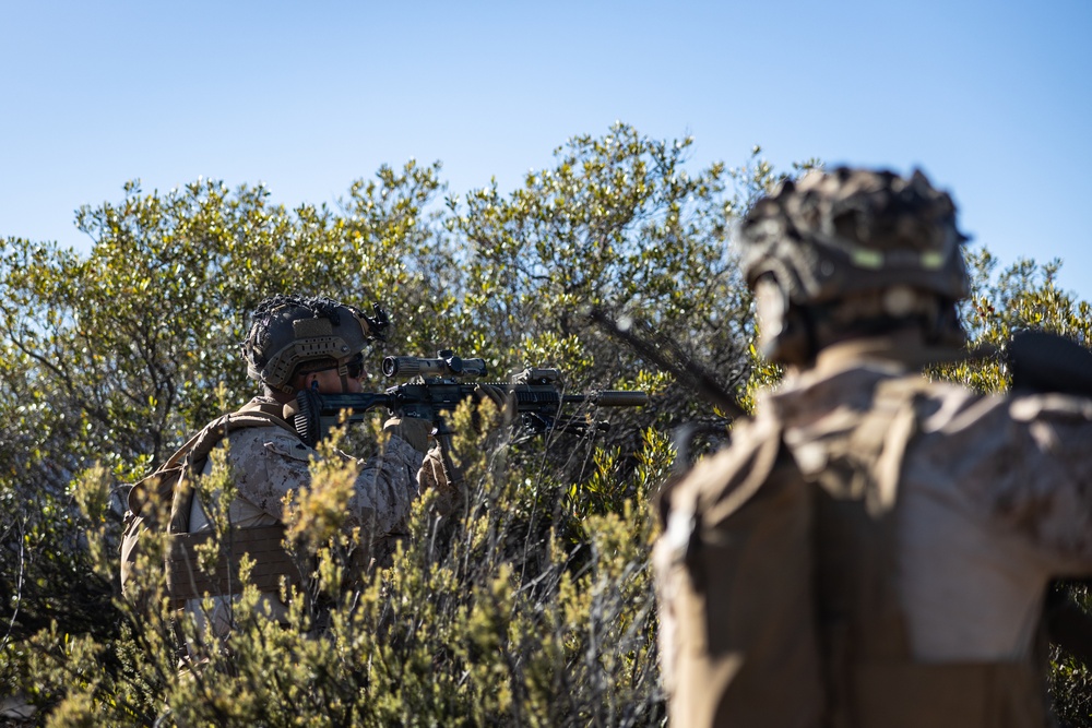 3d LCT Conducts Squad Attacks at Pohakuloa