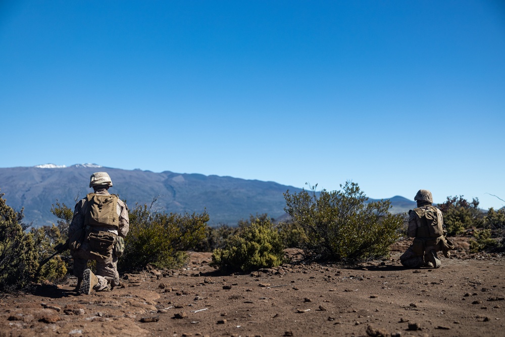 3d LCT Conducts Squad Attacks at Pohakuloa