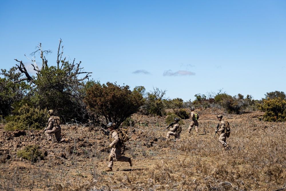 3d LCT Conducts Squad Attacks at Pohakuloa