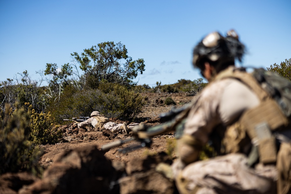 3d LCT Conducts Squad Attacks at Pohakuloa