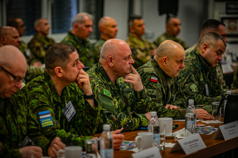 Distinguished Visitors from U.S. Army, NATO and partner nations observe training during Combined Resolve 25-1