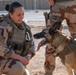 Coalition Conduct Live Fire Exercise Near Al Asad Air Base