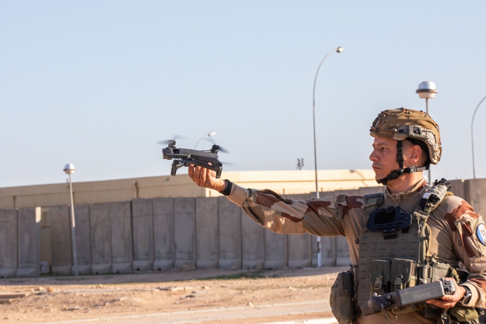 Coalition and K-9 Team Conduct Joint Explosive Detection Training