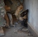 Coalition and K-9 Team Conduct Joint Explosive Detection Training