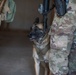 Coalition and K-9 Team Conduct Joint Explosive Detection Training