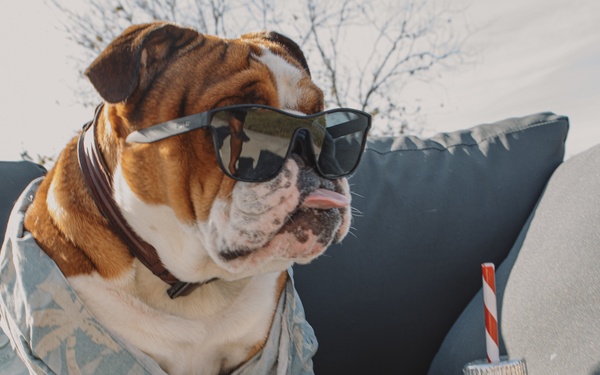 Bruno Takes Annual Leave