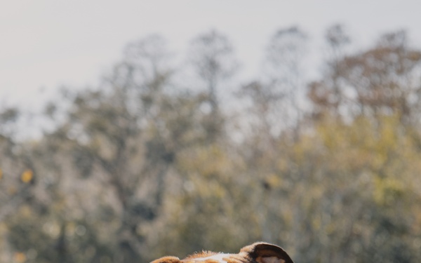 Bruno Takes Annual Leave